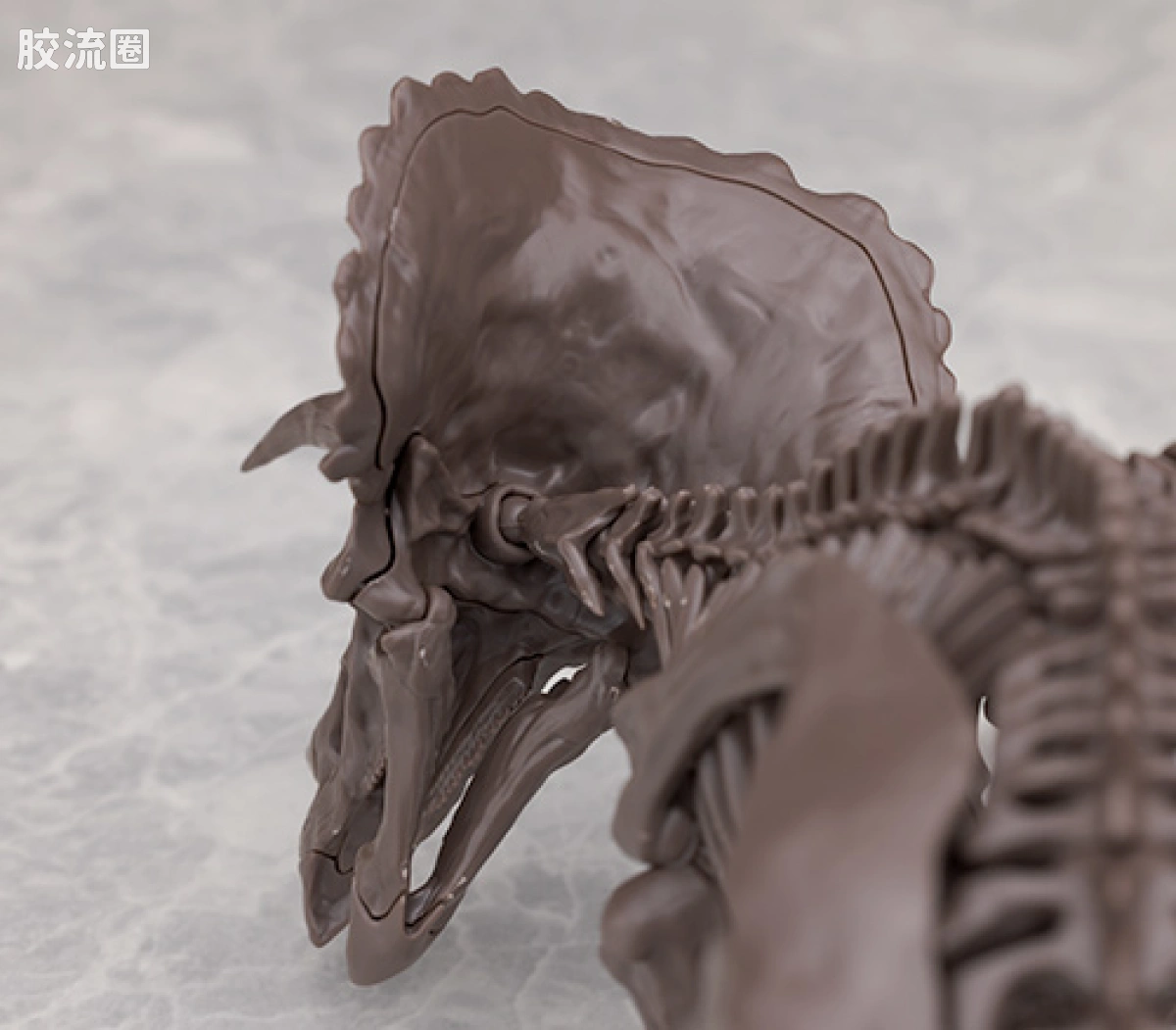 万代综合拼装模型系列 Imaginary Skeleton系列 三角龙 - 图片